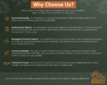10.Why-us Kobo Why Choose Us